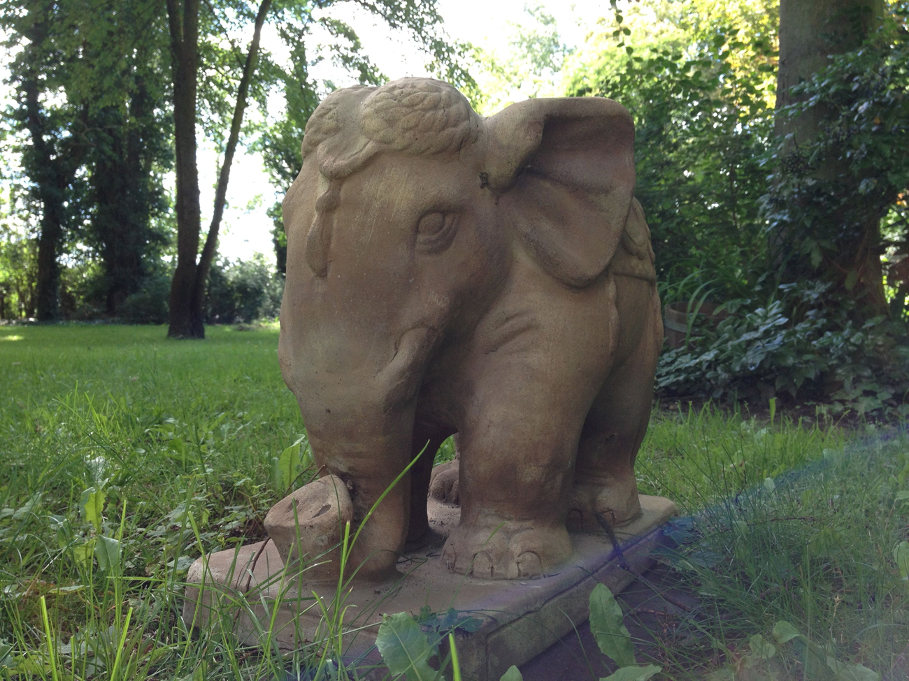 elefant YOGA IM GARTEN